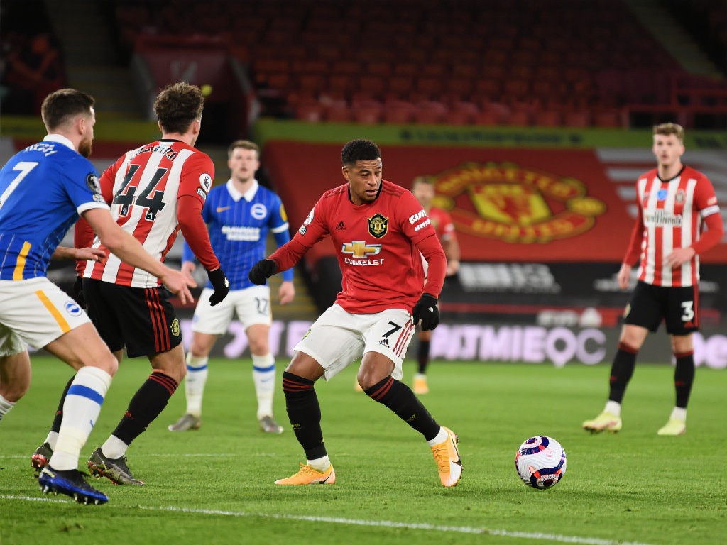 本文从转会 本文从转会